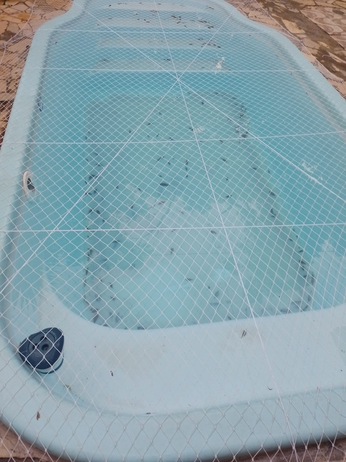Rede de Proteção Piscina Fibra 4,50 x 2,50m